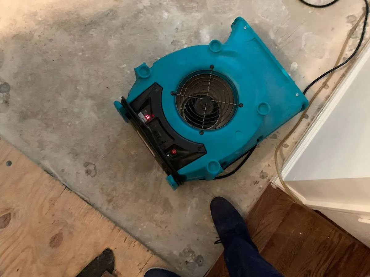 Air mover drying subfloor during Leak Detection & Repair in Snohomish