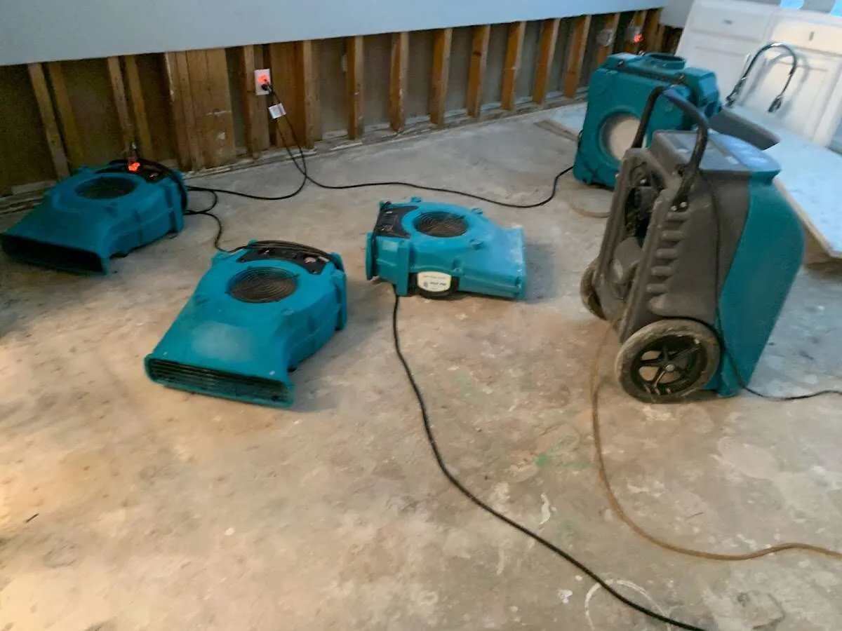 Water Damage Restoration services in Snohomish, WA